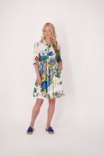 Load image into Gallery viewer, Gabby Isabella multi paterned pleated shirt dress