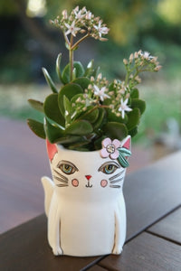 Allen Baby kitty planter