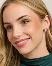 Load image into Gallery viewer, Tiger Tree Pink Isla earrings
