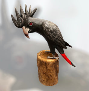 Wooden Red tailed black cockatoo