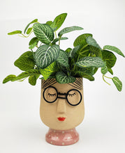Load image into Gallery viewer, Funky Girl planter
