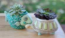 Load image into Gallery viewer, Allen Baby turtle planter
