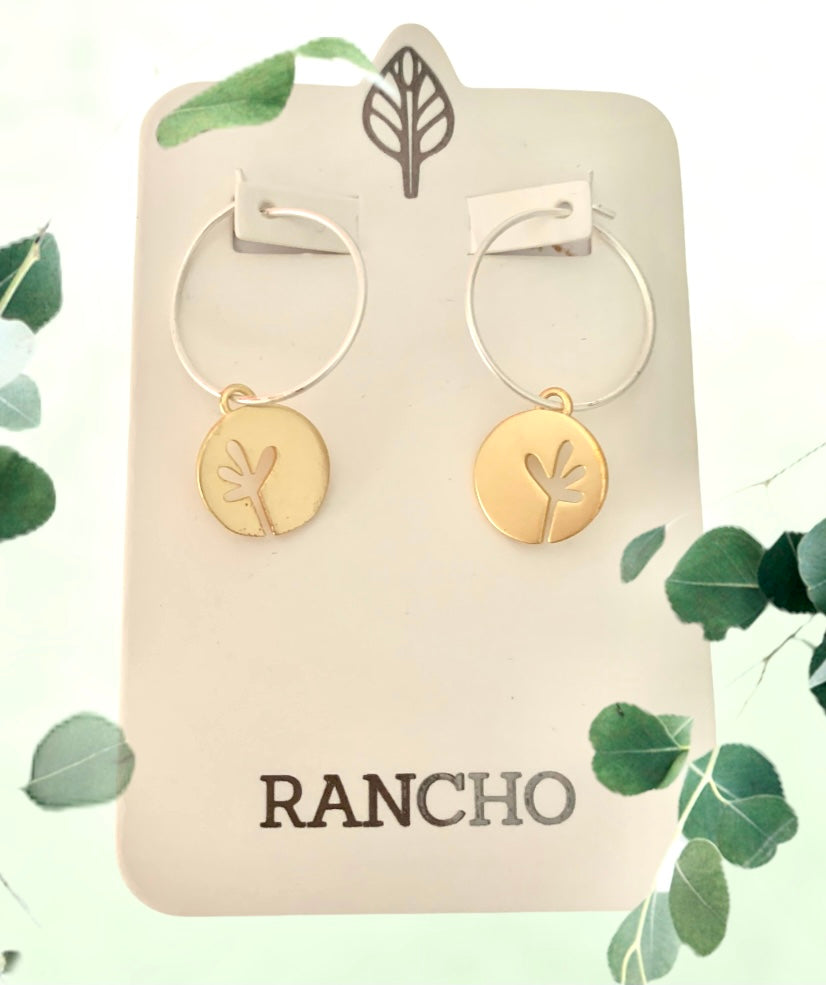 Rancho Silver Hoop with Gold Disc seedling featured