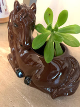 Load image into Gallery viewer, Ceramic horse planter
