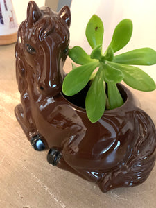 Ceramic horse planter