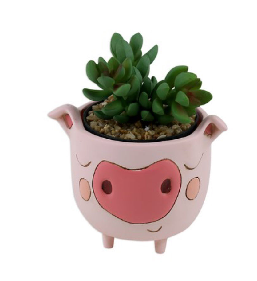 Allen Baby piggy planter