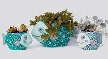 Load image into Gallery viewer, Allen Baby teal FISH planter
