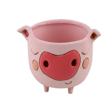 Load image into Gallery viewer, Allen Baby piggy planter
