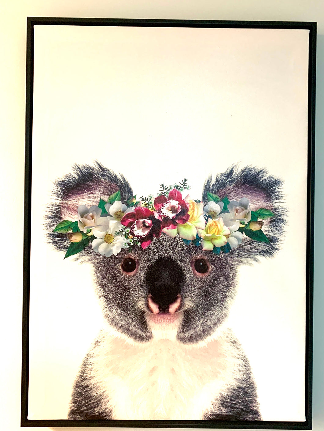 Koala with flowers framed canvas. Black frame.