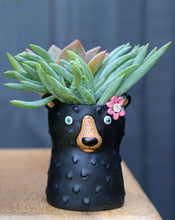 Load image into Gallery viewer, Allen Baby Black BEAR planter
