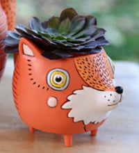 Load image into Gallery viewer, Allen Baby Foxy planter
