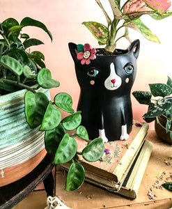 Allen baby black cat planter