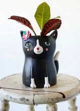 Load image into Gallery viewer, Allen baby black cat planter
